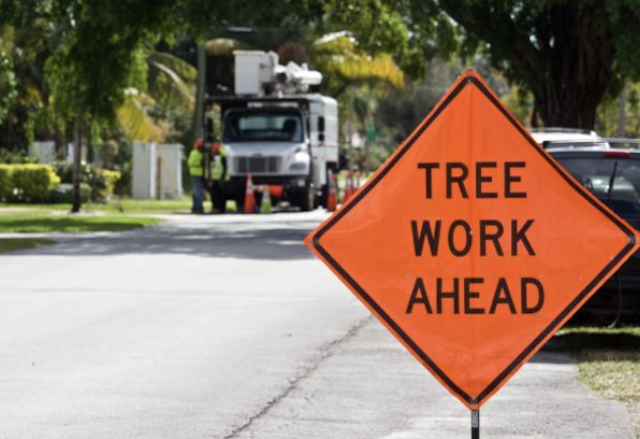 tree removal Greenwood mn