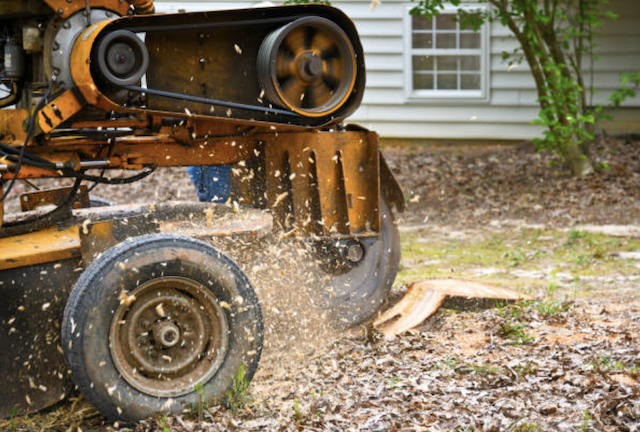 stump grinding hennepin mn